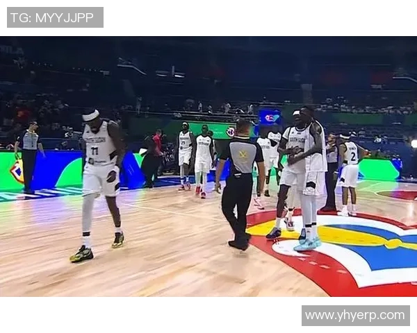 杭州排球队实力引发热议球迷与专家观点大碰撞