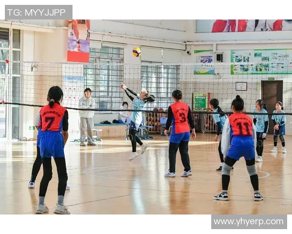 杭州排球队的崛起之路：城市联赛中的拼搏与梦想