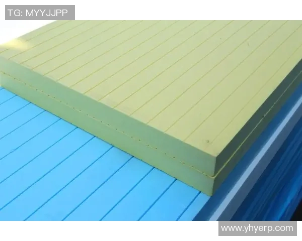 深入探讨vs板与spu板的区别与应用场景分析