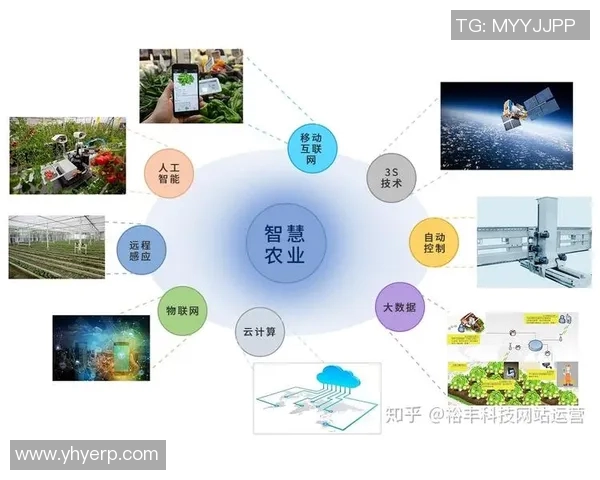 里耶卡与社会推荐的深度对比分析与未来发展趋势探讨
