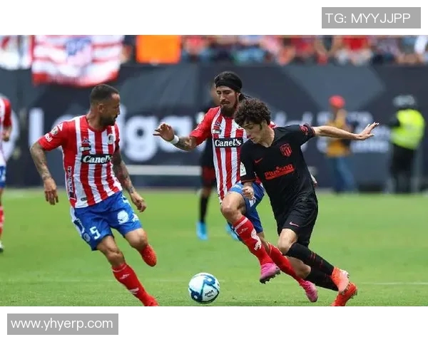 西雅图与明尼苏达对决结果揭晓赛季精彩瞬间回顾