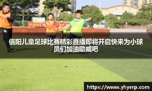 金年会