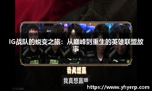 金年会