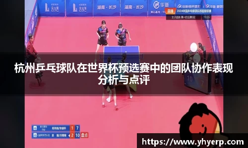 今年会平台入口